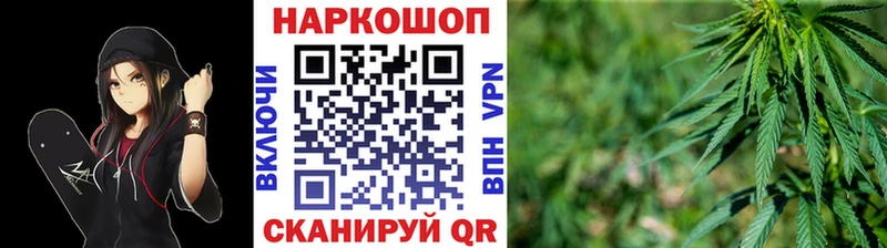 Как найти наркотики Шадринск ГАШ  КОКАИН  Галлюциногенные грибы  Меф 