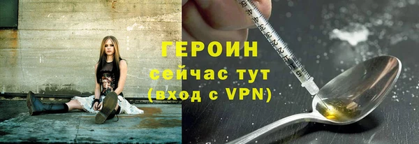 PSILOCYBIN Алзамай