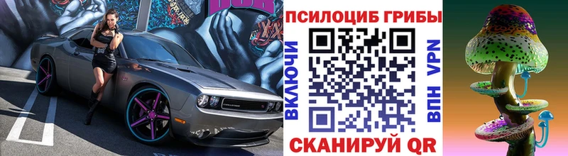 Псилоцибиновые грибы MAGIC MUSHROOMS  сколько стоит  Шадринск 